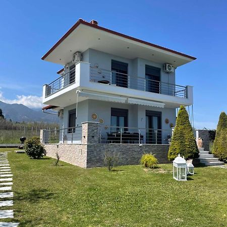Plaka Luxury Villa Litóchoron Ngoại thất bức ảnh