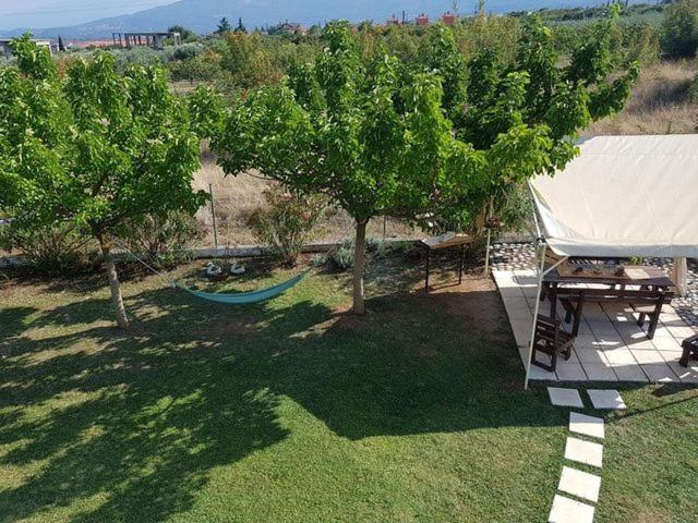 Plaka Luxury Villa Litóchoron Ngoại thất bức ảnh
